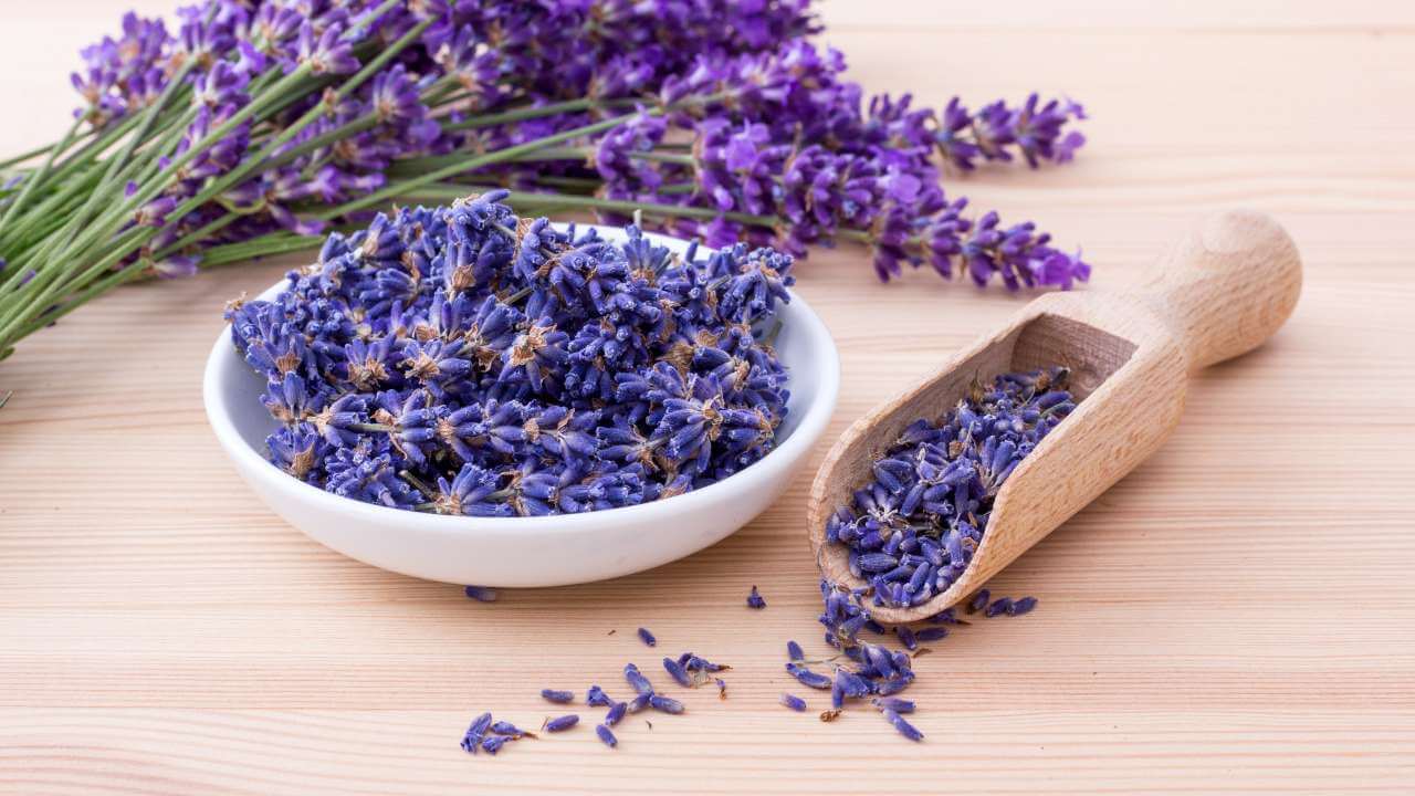 Best Lavender Body Wash