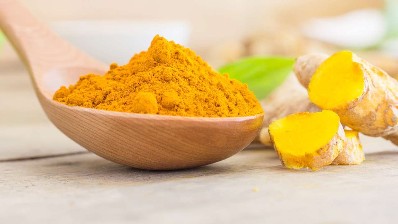 Closeup of yellow turmeric powder in a large wooden spoon. 
