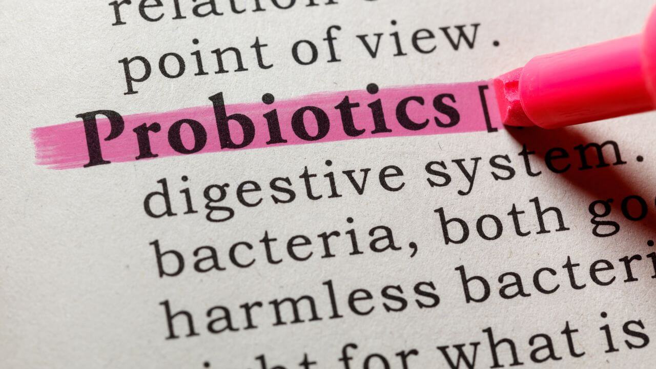 Close up of the word probiotic on a page in the dictionary being highlighted in pink with a pink highlighter.