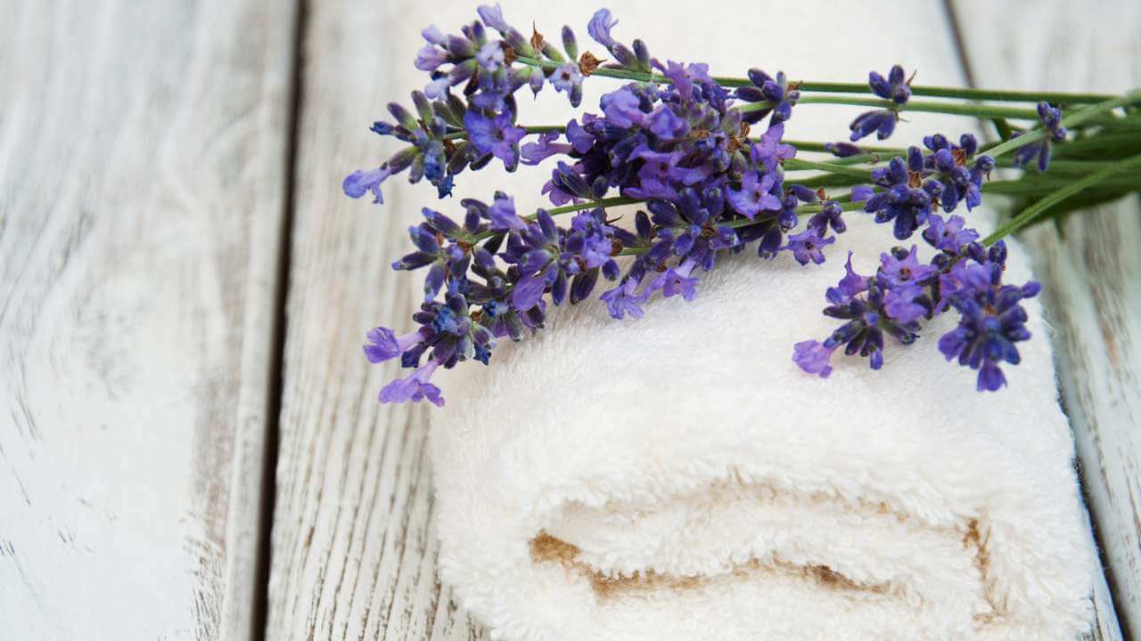 Best Lavender Body Wash